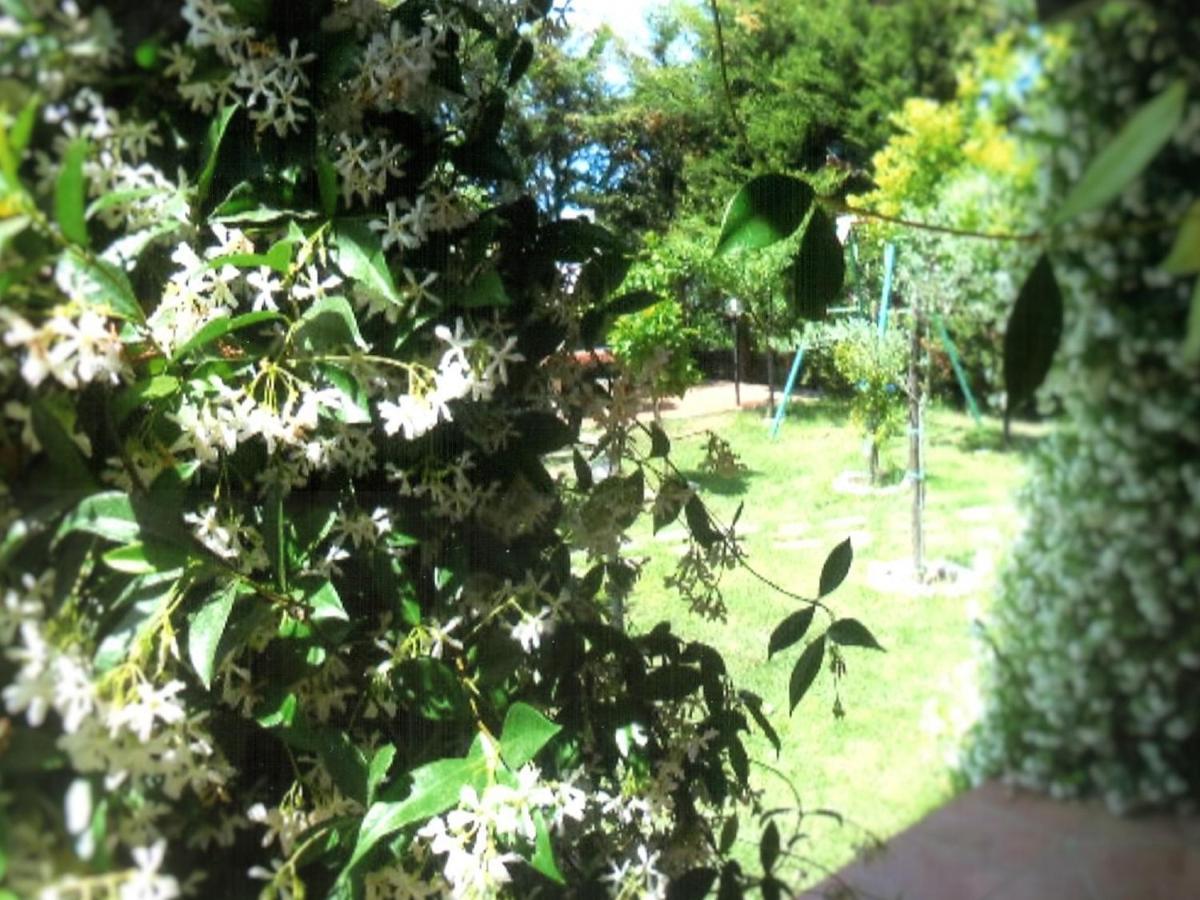 B&B Hibiscus อากรอโปลี ภายนอก รูปภาพ