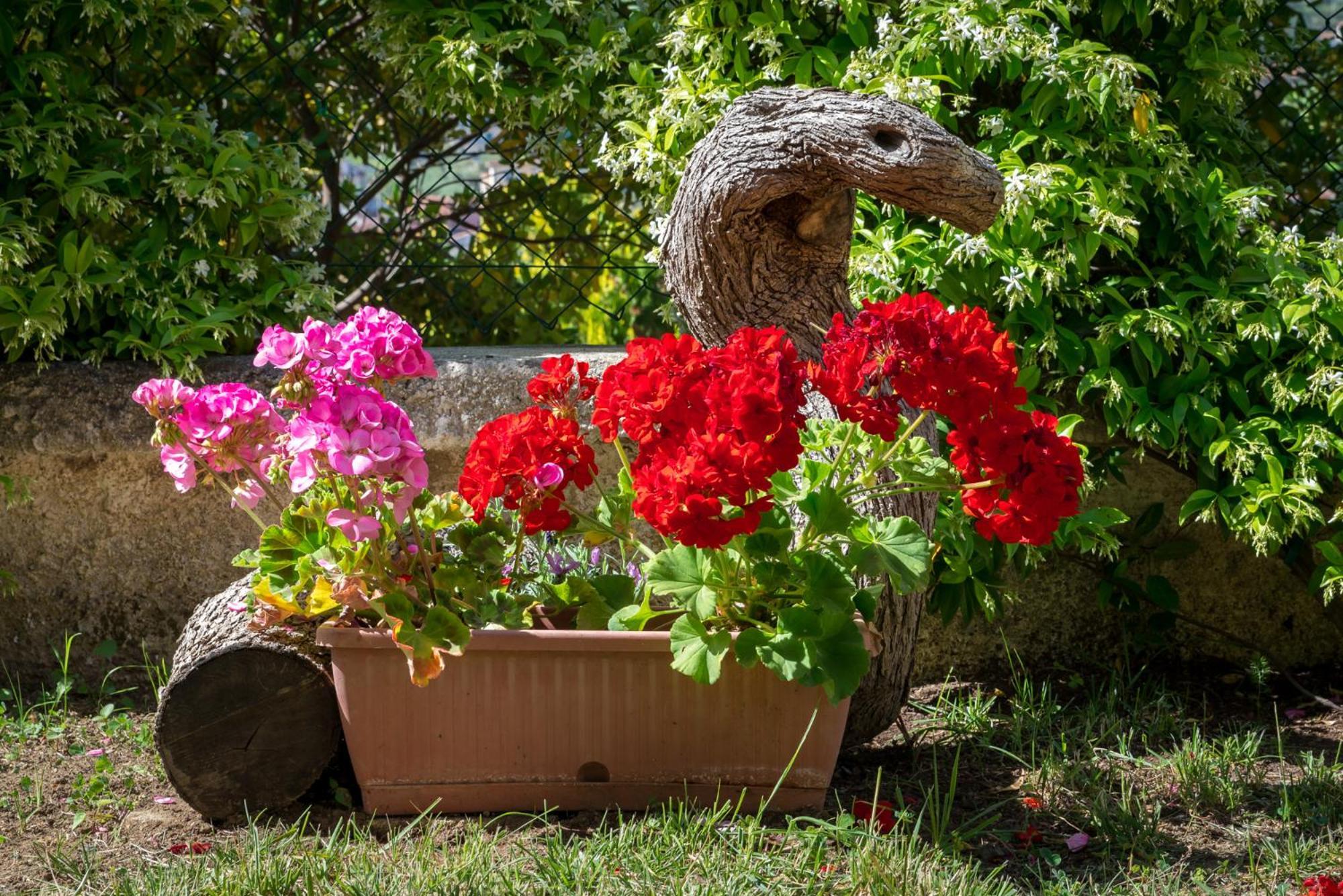 B&B Hibiscus อากรอโปลี ภายนอก รูปภาพ